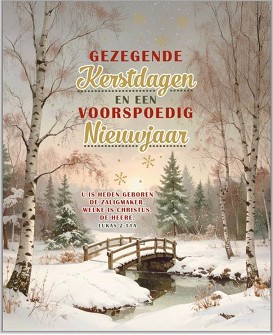 Kerstkaarten 9562